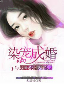染宠成婚：男神老公夜敲门