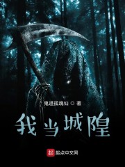 我当城主