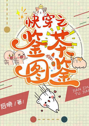 快穿之鉴茶图鉴