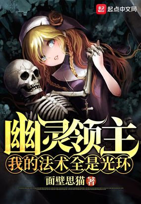 幽灵领主：我的法术全是光环
