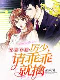 宠妻有瘾：厉少，请乖乖就擒