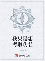 我只是想考取功名
