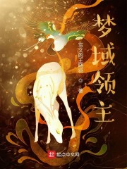 梦域领主