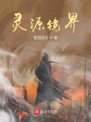 灵源镜界