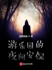 游乐园的夜间安保