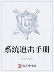 系统追击手册
