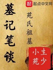 墓记笔谈