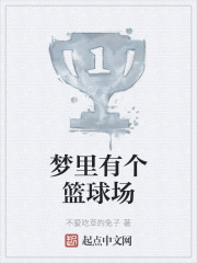 梦里有个篮球场