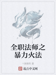 全职法师之暴力火法