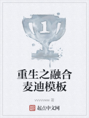 重生之融合麦迪模板