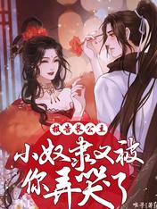 报告长公主，小奴隶又被你弄哭了