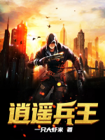 逍遥兵王洛天免费阅读全文无广告