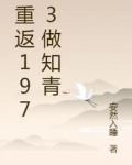 重返1973做知青