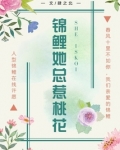 锦鲤她总惹桃花