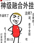 神级融合外挂