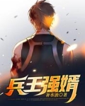 兵王强婿