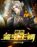 都市鉴宝王婿
