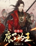 红楼之庶子为王