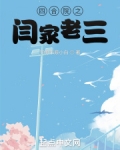 四合院之闫家老三