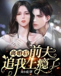 离婚后，前夫追我上瘾了