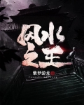 风水之王