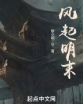 风起明末