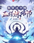 你管这个叫正经炼丹师