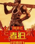 网游之王者归来