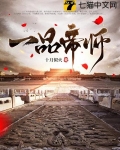 一品帝师