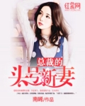 总裁的头号新妻