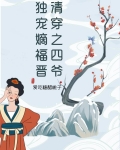 清穿之四爷独宠嫡福晋