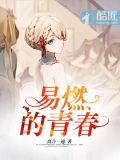易燃的青春