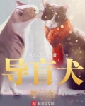 导盲犬的一生