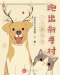 我在新手村称霸