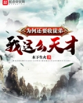 这个系统有点狗