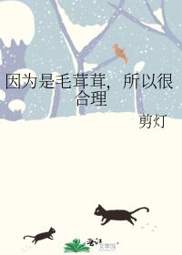因为是毛茸茸，所以很合理