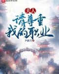 夫人，请尊重我的职业