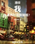 港综：我，交通执行及管制组？