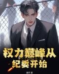 权力巅峰从纪委开始