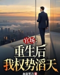 官场：重生后我权势滔天