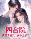 四合院：我医手遮天，禽兽全麻了